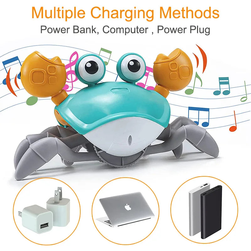Crawling Crab - Interactive Toy for Pups