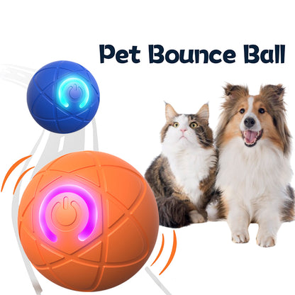 ✨2025 New Release -50% Off - Pet Bounce Ball for Cats🐱 & Dogs🐶