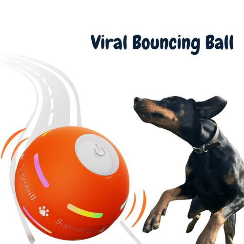 🎄* Christmas Flash Sale -50% off - Pet Bounce Ball